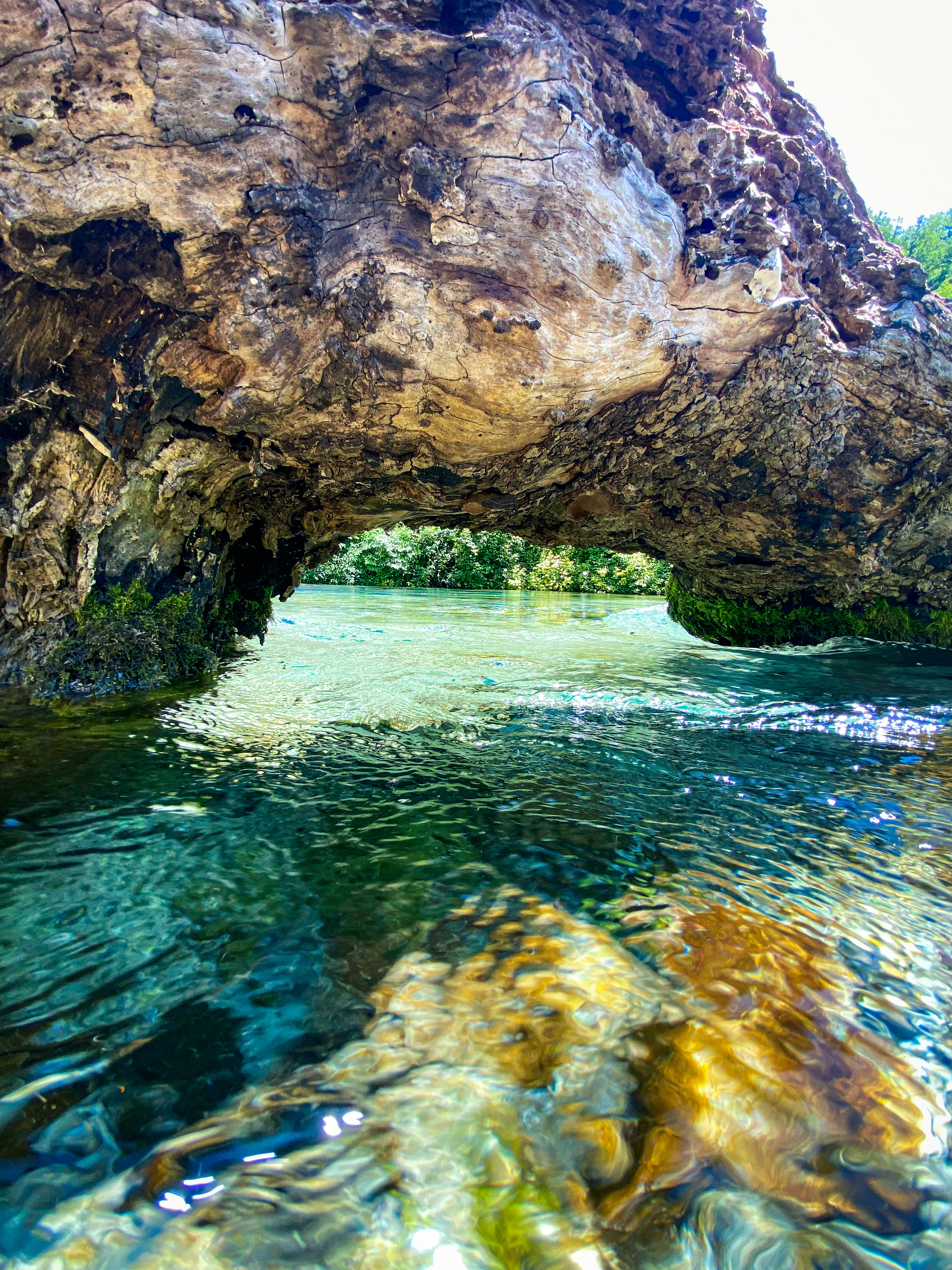 Nature reserve